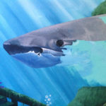 shark painting mural