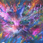cat colourful canvas