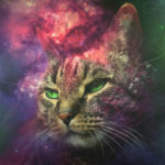 cat space canvas