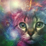 cat space canvas
