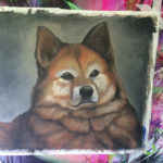 dog portrait