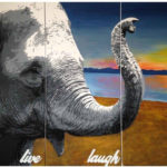 elephant canvas collection