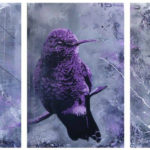 bird canvas collection