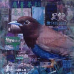 bird in city