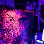 painting bird