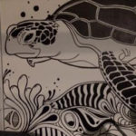 black white turtle