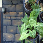 hostel jungle wall mural