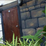 hostel painting jungle mural