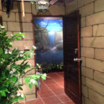 indoor fantasy murals