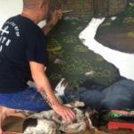 painting fairy woods