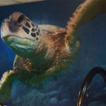 Sea turtle mural