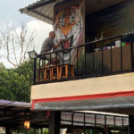 hostel painting tiger mural