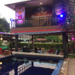 hostel monkey tiger murals