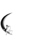 Singing Tooth Productions