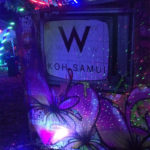 W hotels live art