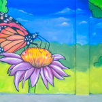 butterfly on flower